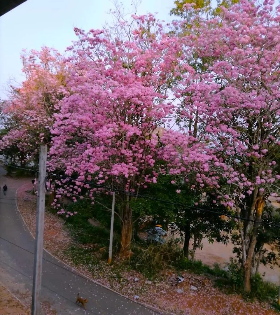 Roberosia - Holiday Home Kandy 0*,  Sri Lanka